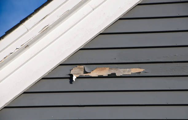 Best Engineered Wood Siding  in East Sparta, OH