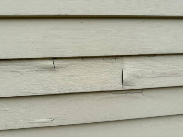 Best Residential Vinyl Siding Installation  in East Sparta, OH